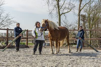 De ezels hebben kale plekken, omdat ze de cliënten van de zorgboerderij zo missen
