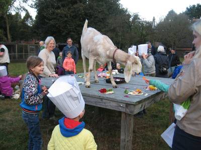 Voortbestaan kinderboerderijen Ede voorlopig gewaarborgd