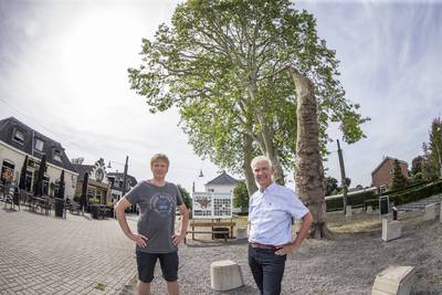 'Hof van Twente loopt risico door ontbreken van bomeninspectie'