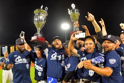 Honkballers Neptunus winnen Champions Cup