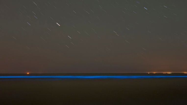 Oplichtend zeewater in de branding bij het strand van het Nederlandse Noordwijk. Archieffoto.