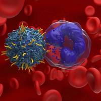 Wetenschappers maken in het lichaam immuuncellen die kanker bestrijden: geen duur lab meer nodig