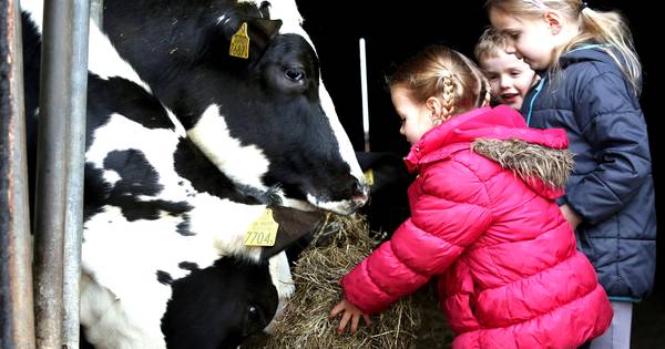 ‘Ze schrikken als je zegt dat een ei uit de kont van een kip komt’