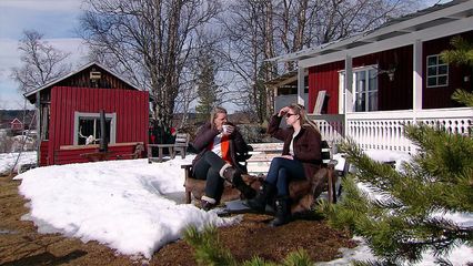 Aflevering 12