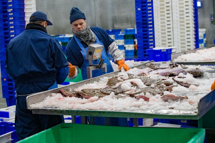 Solo sería preocupante el acceso de los pescadores europeos a las aguas británicas.