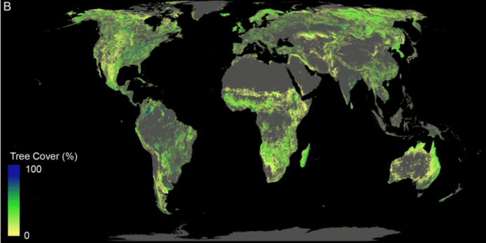 Le potentiel de reforestation mondiale est ici bien visible. Du jaune au bleu, de moins au plus suscpetible d'être planté. Les villes, terres agricoles, régions déjà boisées et marécageuses ont été exclus de la carte.