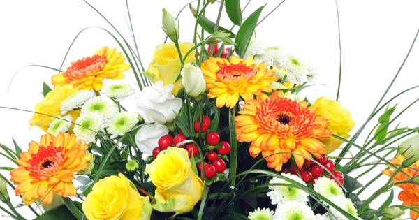 Theo Rutten ontvangt oeuvreprijs het Tonpraoterke