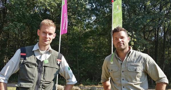 Landschap Overijssel en Staatsbosbeheer werken samen in Het Springendal - Tubantia
