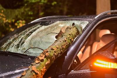 Vallende tak doorboort voorruit auto, bestuurder met spoed naar het ziekenhuis