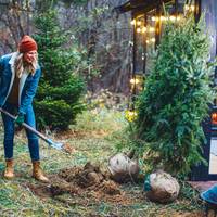 14 tips voor meer energie in de decembermaand