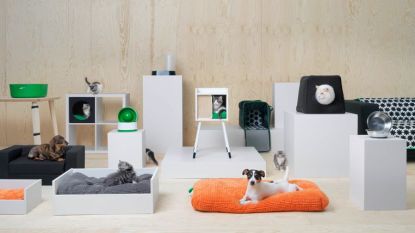 De IKEA huisdieren-collectie ligt nu ook in Belgische winkels