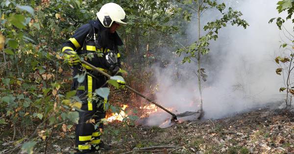 Natuurbrand in bossen bij Molenschot, politie vermoedt brandstichting