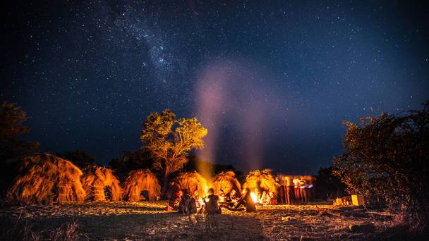 Tribes, Predators & Me