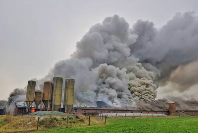 Zeer grote brand in Brabantse stal: ‘1000 varkens kunnen wij niet meer redden’