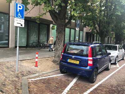 Utrechtse Tineke (67) krijgt eigen paaltje op ingepikte invalidenplek