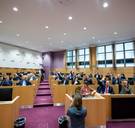 Kamercommissie verklaart tegen verwachtingen in artikel 1 en 7bis Grondwet voor herziening vatbaar