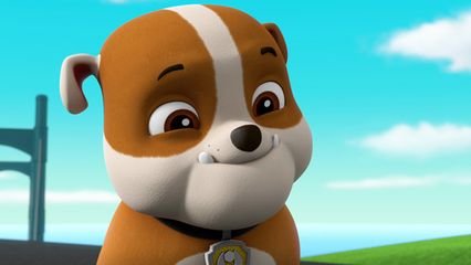 14. Pups redden een Raketrolschaatser & Pups redden Ryder's Verrassing