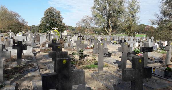 Parochie ruimt 85 graven op kerkhof Biest-Houtakker; 'zonde van historisch erfgoed'