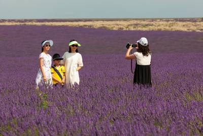 60.000 Chinezen in een lavendelveld: toerisme loopt spuigaten uit