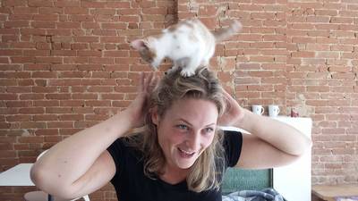 Kattencafé opent binnenkort deuren in Nijmegen