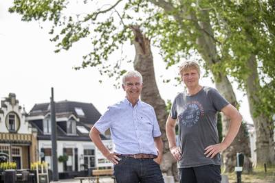 Zorg over de drie monumentale bomen van Diepenheim