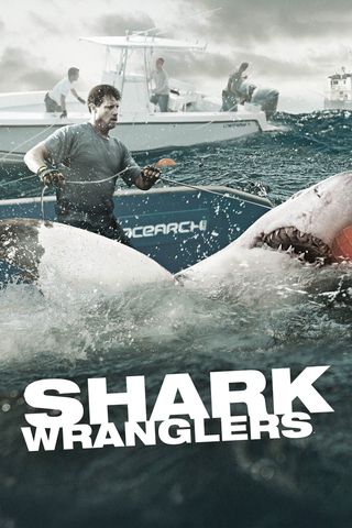Shark Wranglers