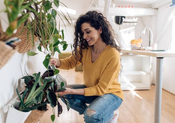 Kerstboom eruit, plant erin: dít zijn de beste vervangers