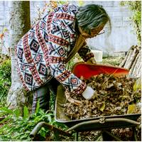 ‘We ruimen allemaal te veel op’: waarom een rommelige tuin in de winter juist beter is