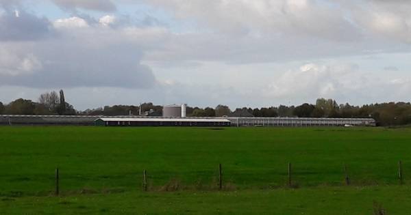 Buurman: 'Arbeidsmigranten wonen nog steeds in units Nieuwaal'