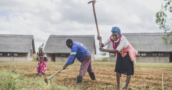 Vakschool in Zambia draait op Zeeuwse geestdrift