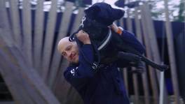 Inspecteur Olivier over hechte band met zijn politiehond