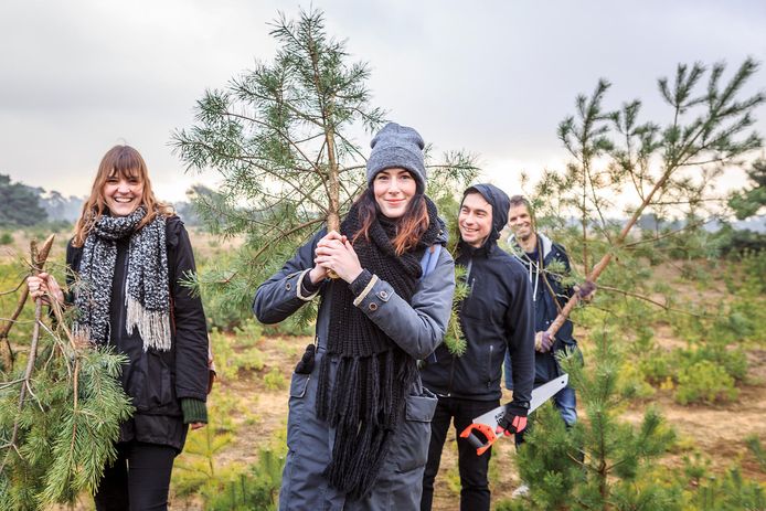 Kerstboomactie Aanbieding Bij Ikea