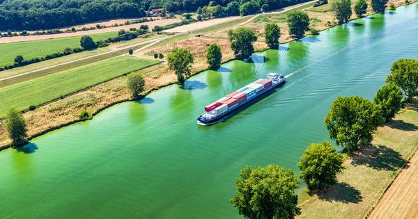 Blauwalg verdwijnt alweer uit de Maas, maar het Maas-Waalkanaal is nog groen