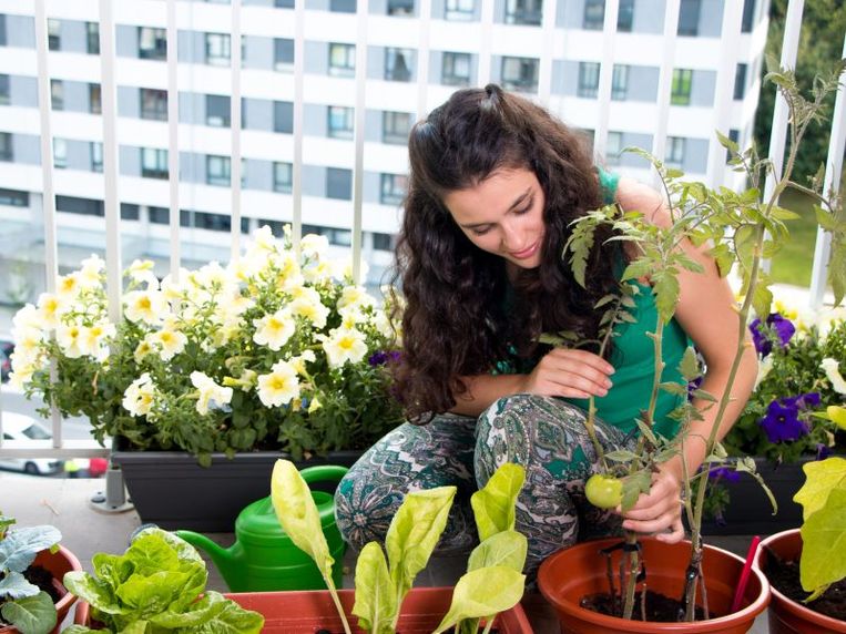 Heb je groene vingers maar geen tuin? Gelukkig is leven in het groen niet enkel weggelegd voor tuinbezitters. Tover je balkon of dakterras om tot een minibiotoop met deze tips van bouwsite Livios.