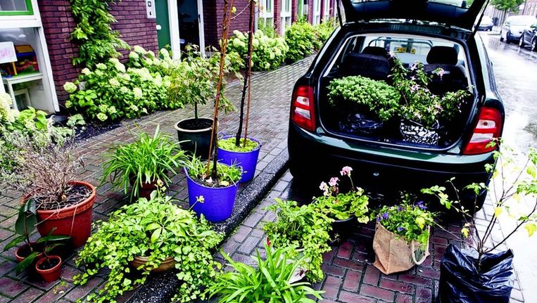 Planten Verhuizen Mag Dat Trouw