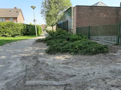 Nieuw beleid in Dinkelland voor openbaar groen