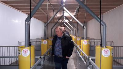 Verwarmd terras in spiksplinternieuwe varkensstal Horssen puilt uit