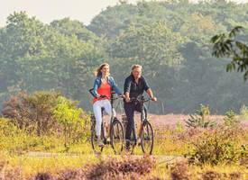 Dít is waarom je deze zomer een e-bike wil hebben (en krijg nu €500,- korting!)