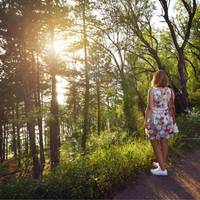 Vier prachtige wandelroutes door de mooiste natuurgebieden