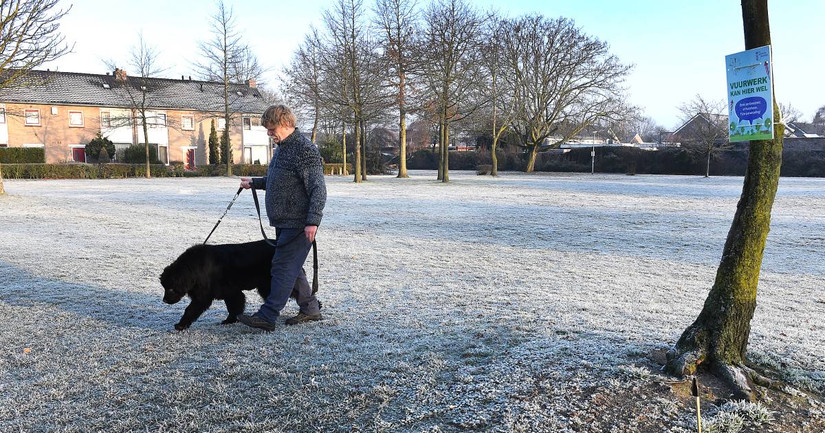 Vuurwerkvrije Zone Goed Idee Maar Het Werkt Niet Oud En Nieuw Gelderlander Nl