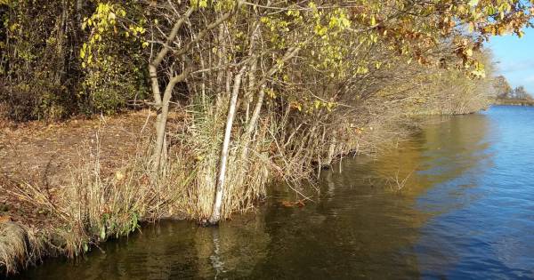 Zorgen over hoge water in Grote Kreek Ouwerkerk