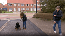 OMG! Luk Alloo wordt gebeten door een hond