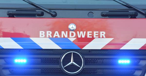 Schoorsteenbrand in pand aan de Korte Nobelstraat in Zierikzee .