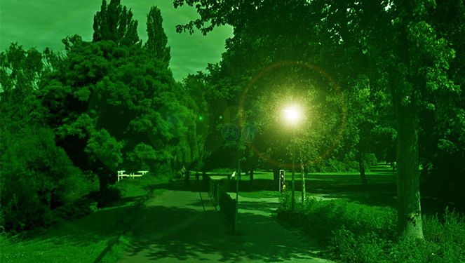 Groene Verlichting Voor Een Veiliger Park Dordrecht Ad Nl