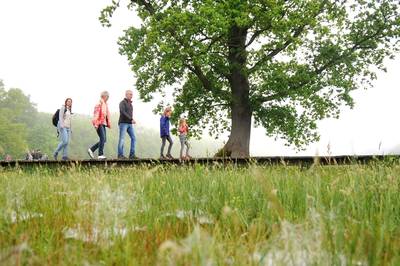 Het is lang geleden dat ik dauwtrapte, ik weet ook wanneer het was. Hemelvaartsdag 1972