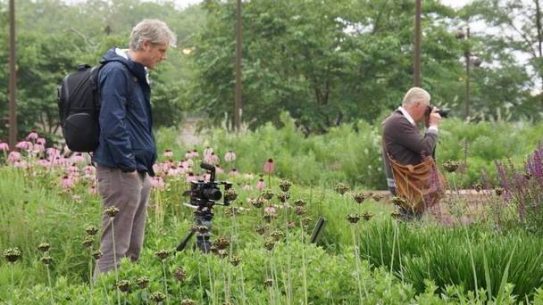 Five Seasons: The Gardens of Piet Oudolf