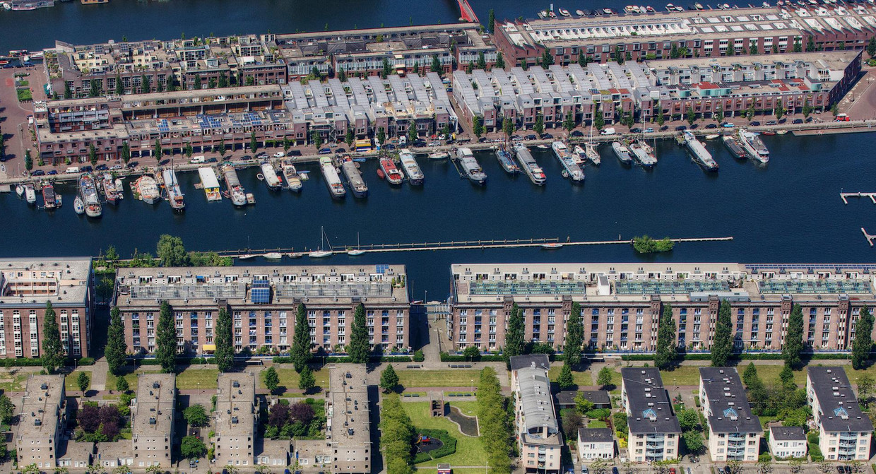 Laat Ons In De Entrepothaven Roeien Peddelen En Zwemmen Het Parool