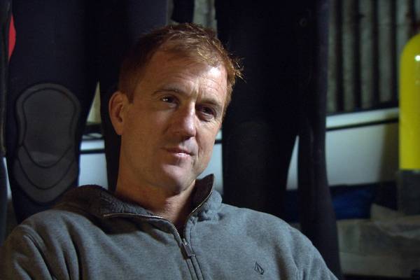 Wild Cameramen at Work