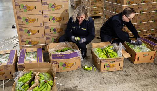 Van recordjaren naar kleine vangsten: waarom Antwerpen zijn status als cocaïnehoofdstad verliest