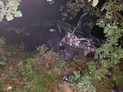 Auto rijdt de bosjes in, bestuurder ongedeerd